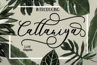 Cattaniya Font for Creative Projects