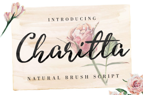Charitta Font for Business Branding