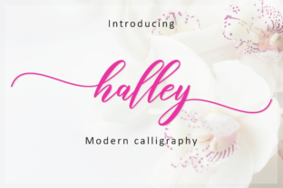 Halley Script Font for Creative Campaigns