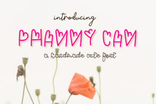 Phanny Can Font for Business Branding