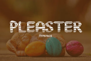 Pleaster Font for Creative Projects